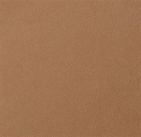 Fard amber 2343